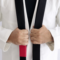 Upgrade Black Belt